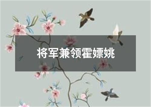 将军兼领霍嫖姚