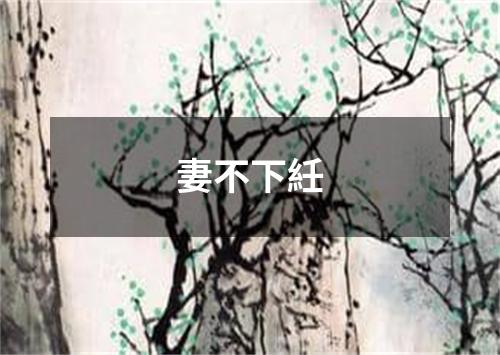 妻不下紝