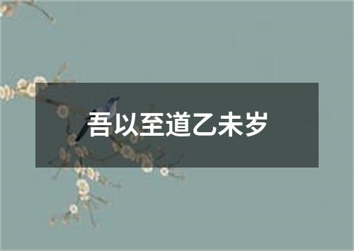 吾以至道乙未岁