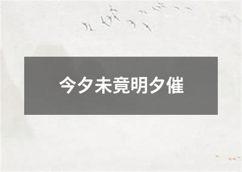 今夕未竟明夕催