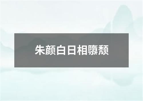 朱颜白日相隳颓