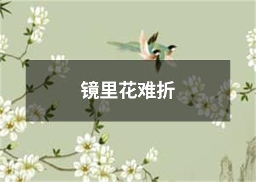 镜里花难折