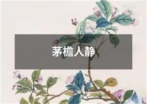 茅檐人静