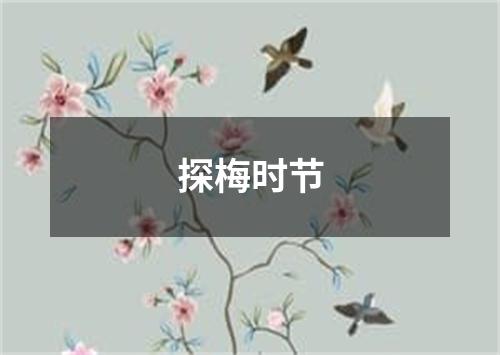 探梅时节