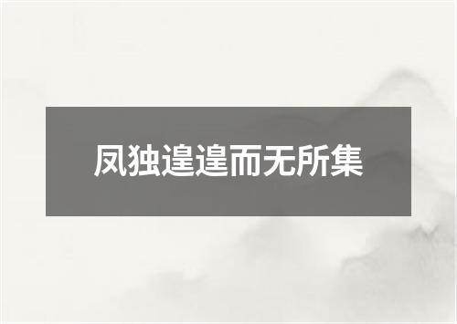 凤独遑遑而无所集