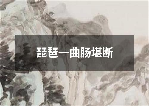 琵琶一曲肠堪断