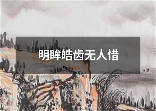 明眸皓齿无人惜