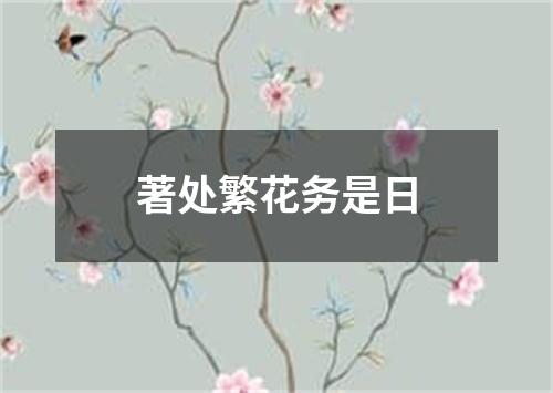 著处繁花务是日