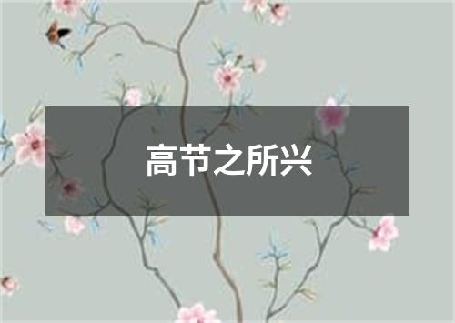 高节之所兴