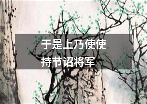 于是上乃使使持节诏将军