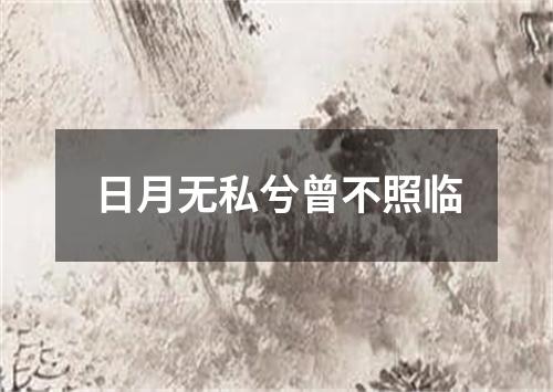 日月无私兮曾不照临