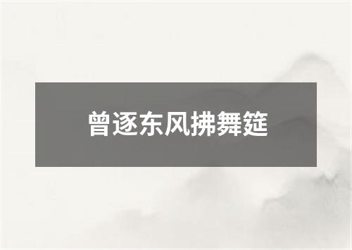 曾逐东风拂舞筵