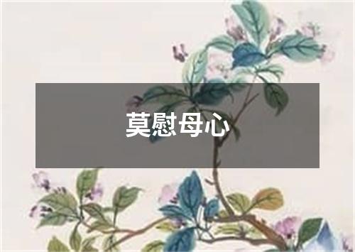 莫慰母心