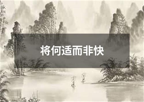 将何适而非快