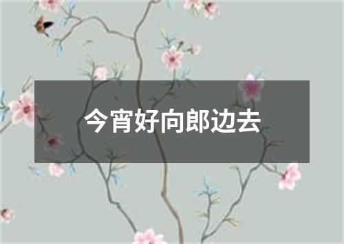 今宵好向郎边去