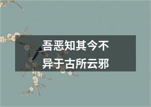 吾恶知其今不异于古所云邪