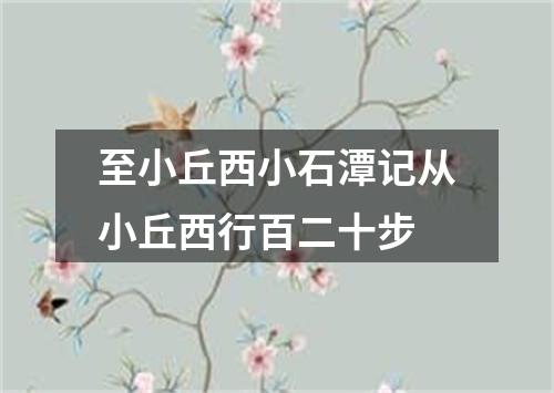 至小丘西小石潭记从小丘西行百二十步