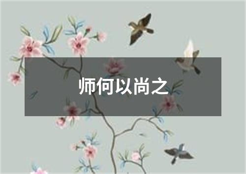 师何以尚之