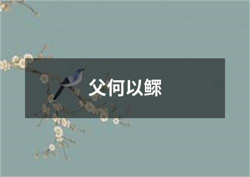 父何以鳏