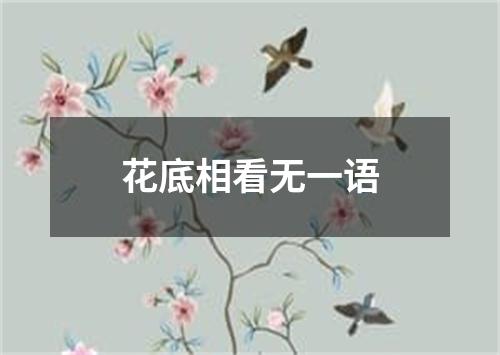 花底相看无一语