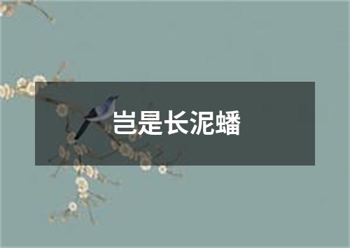 岂是长泥蟠