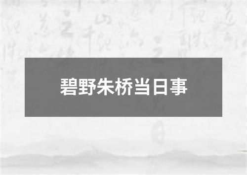 碧野朱桥当日事