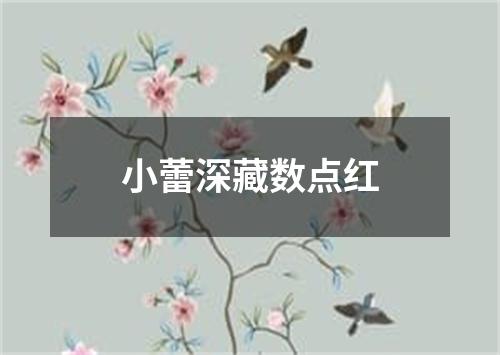 小蕾深藏数点红