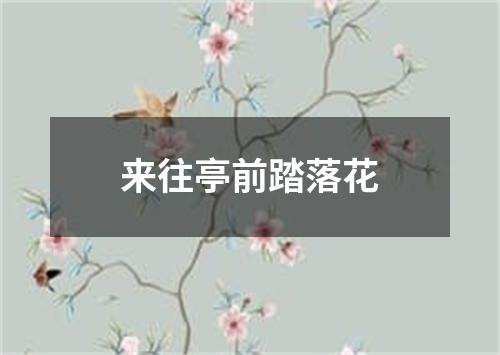 来往亭前踏落花