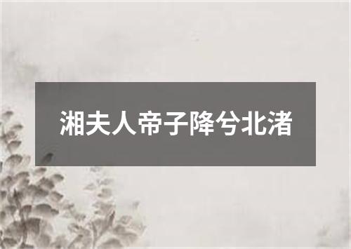 湘夫人帝子降兮北渚