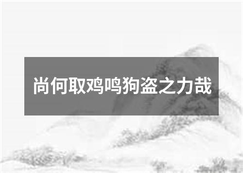 尚何取鸡鸣狗盗之力哉