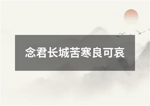 念君长城苦寒良可哀