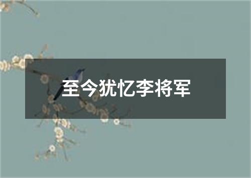 至今犹忆李将军