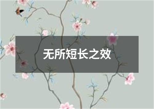 无所短长之效