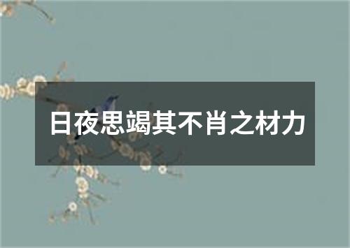 日夜思竭其不肖之材力