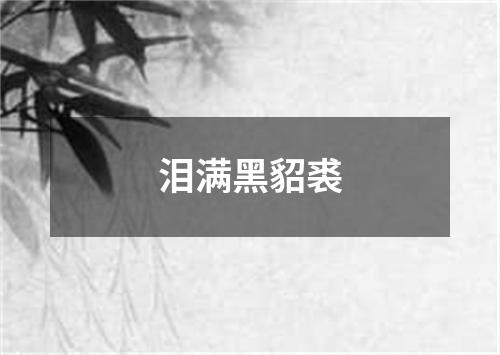 泪满黑貂裘