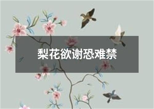 梨花欲谢恐难禁