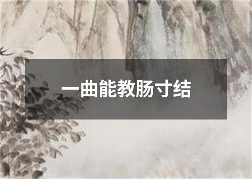 一曲能教肠寸结