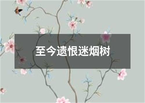 至今遗恨迷烟树