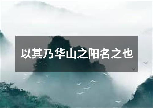 以其乃华山之阳名之也