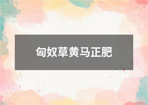 匈奴草黄马正肥