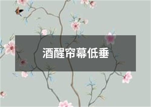 酒醒帘幕低垂