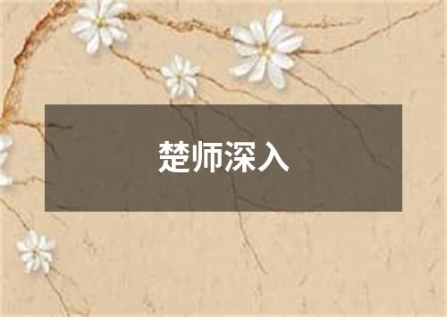 楚师深入