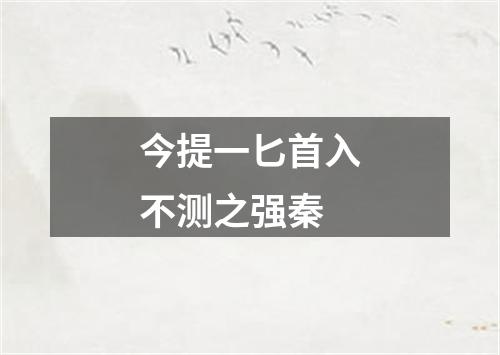 今提一匕首入不测之强秦