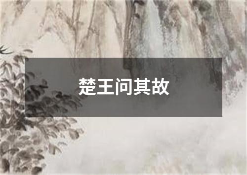 楚王问其故