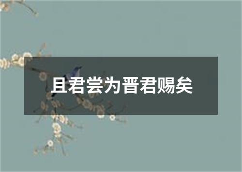 且君尝为晋君赐矣