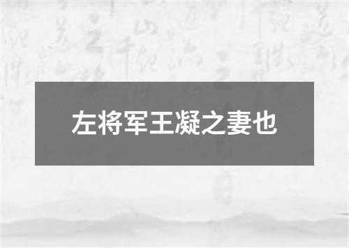 左将军王凝之妻也