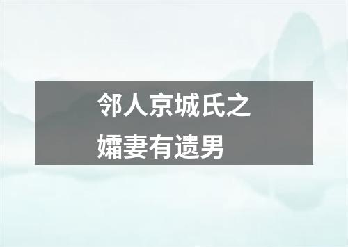 邻人京城氏之孀妻有遗男