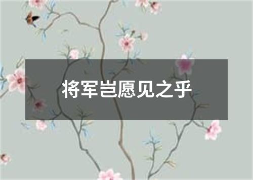 将军岂愿见之乎