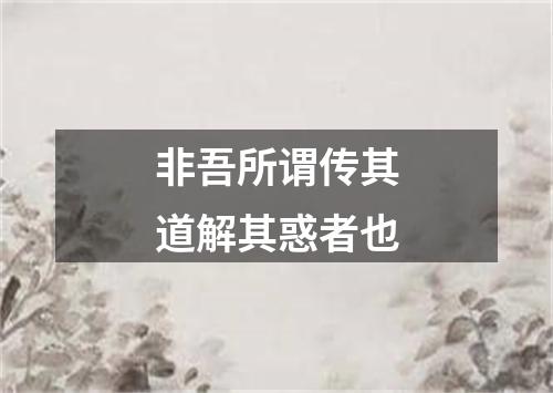 非吾所谓传其道解其惑者也