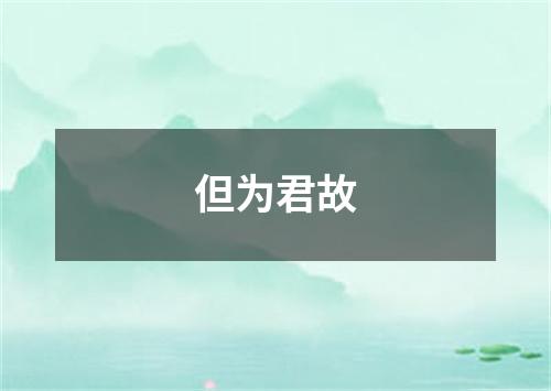 但为君故